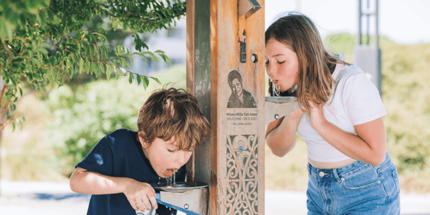 Microsoft solution suite for New Zealand's new water services regulator